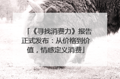 《寻找消费力》报告正式发布：从价格到价值，情感定义消费