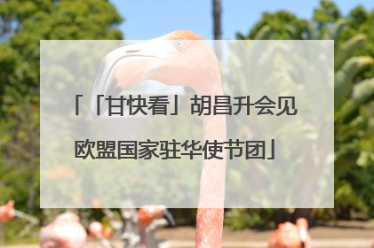 「甘快看」胡昌升会见欧盟国家驻华使节团