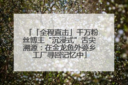 「全程直击」千万粉丝博主“沉浸式”舌尖溯源：在金龙鱼外婆乡工厂寻回记忆中
