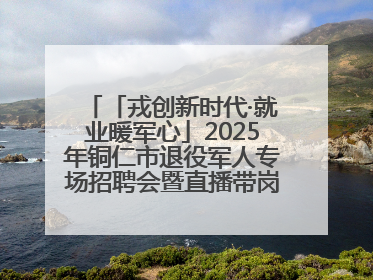 「戎创新时代·就业暖军心」2025年铜仁市退役军人专场招聘会暨直播带岗活动顺利举行