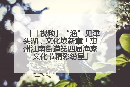「视频」“渔”见津头湖，文化焕新章！惠州江南街道第四届渔家文化节精彩纷呈