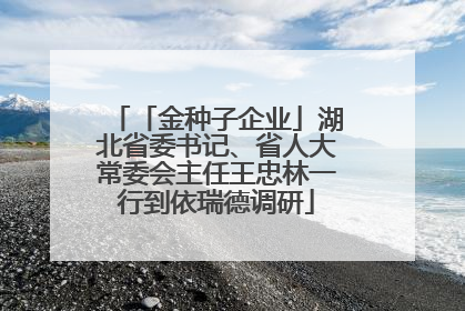 「金种子企业」湖北省委书记、省人大常委会主任王忠林一行到依瑞德调研