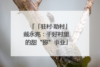 「驻村·助村」戴永亮：干好村里的甜“猕”事业