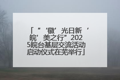 “‘徽’光日新‘皖’美之行”2025皖台基层交流活动启动仪式在芜举行