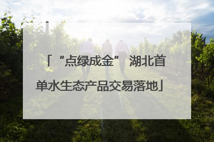 “点绿成金” 湖北首单水生态产品交易落地