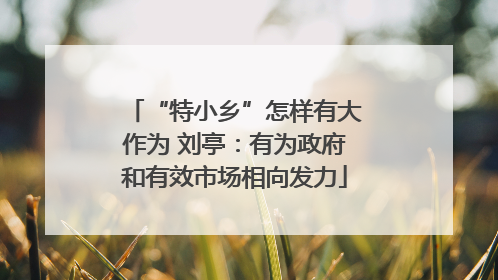 “特小乡”怎样有大作为 刘亭：有为政府和有效市场相向发力