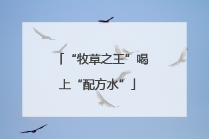 “牧草之王”喝上“配方水”