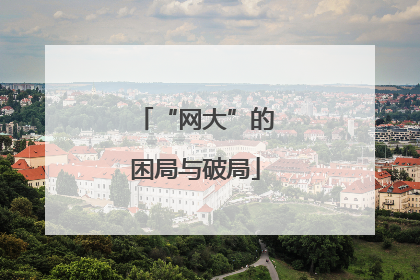“网大”的困局与破局