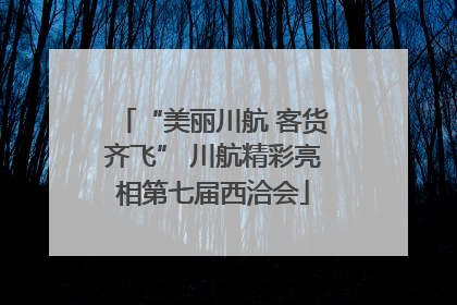 “美丽川航 客货齐飞” 川航精彩亮相第七届西洽会
