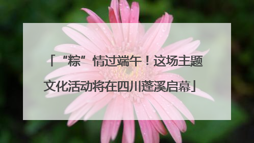 “粽”情过端午！这场主题文化活动将在四川蓬溪启幕