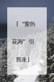 “紫色花海”引客来
