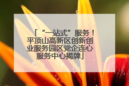 “一站式”服务！平顶山高新区创新创业服务园区党企连心服务中心揭牌