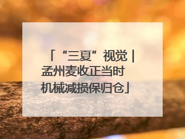 “三夏”视觉｜孟州麦收正当时 机械减损保归仓
