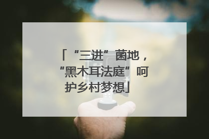 “三进”菌地，“黑木耳法庭”呵护乡村梦想