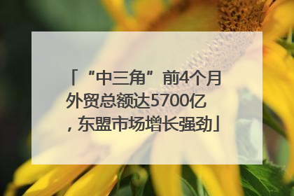 “中三角”前4个月外贸总额达5700亿，东盟市场增长强劲