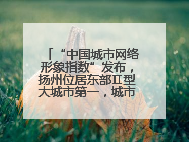 “中国城市网络形象指数”发布，扬州位居东部Ⅱ型大城市第一，城市生活形象亮眼