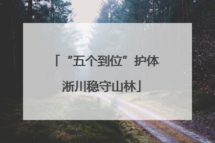 “五个到位”护体 淅川稳守山林