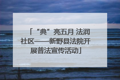 “典”亮五月 法润社区——新野县法院开展普法宣传活动