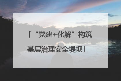 “党建+化解”构筑基层治理安全堤坝
