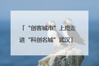 “创客城市”上虞走进“科创名城”武汉