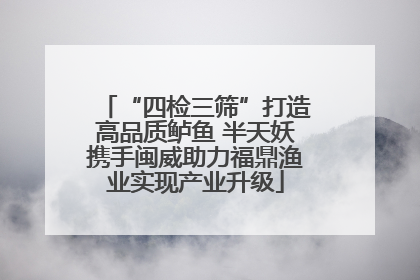 “四检三筛”打造高品质鲈鱼 半天妖携手闽威助力福鼎渔业实现产业升级