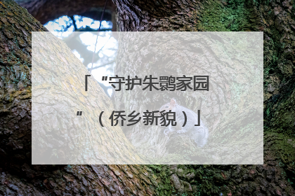 “守护朱鹮家园”（侨乡新貌）