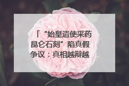 “始皇遣使采药昆仑石刻”陷真假争议：真相越辩越明｜新京报专栏