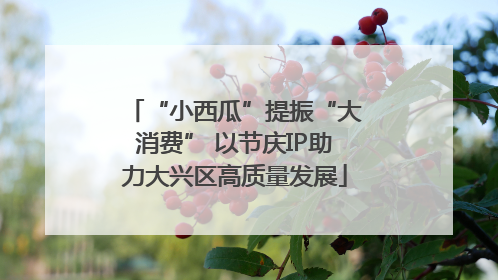 “小西瓜”提振“大消费” 以节庆IP助力大兴区高质量发展