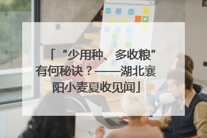 “少用种、多收粮”有何秘诀？——湖北襄阳小麦夏收见闻