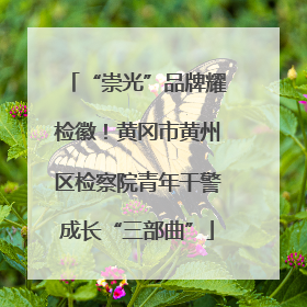 “崇光”品牌耀检徽！黄冈市黄州区检察院青年干警成长“三部曲”