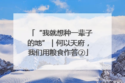 “我就想种一辈子的地”｜何以天府，我们用粮食作答②