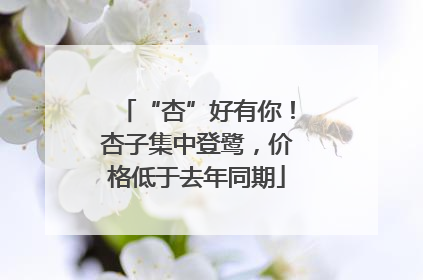 “杏”好有你！杏子集中登鹭，价格低于去年同期
