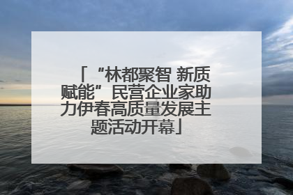 “林都聚智 新质赋能”民营企业家助力伊春高质量发展主题活动开幕