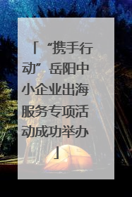 “携手行动”岳阳中小企业出海服务专项活动成功举办