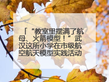 “教室里摆满了航母、火箭模型！”武汉这所小学在市级航空航天模型实践活动中获佳绩