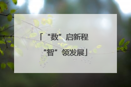 “数”启新程 “智”领发展