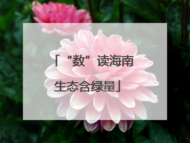 “数”读海南生态含绿量
