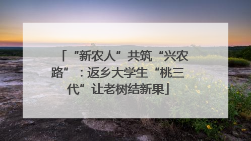 “新农人”共筑“兴农路”：返乡大学生“桃三代”让老树结新果