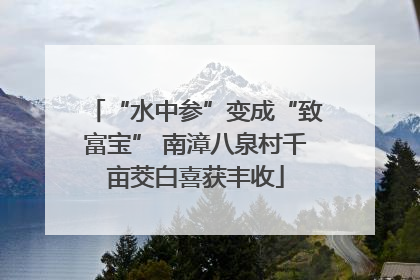 “水中参”变成“致富宝” 南漳八泉村千亩茭白喜获丰收