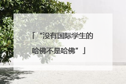 “没有国际学生的哈佛不是哈佛”