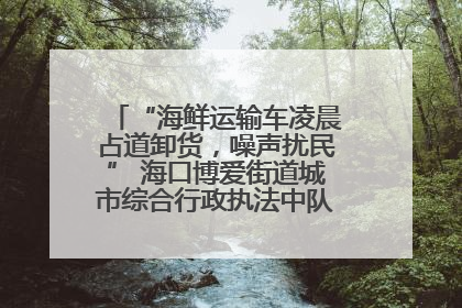 “海鲜运输车凌晨占道卸货，噪声扰民” 海口博爱街道城市综合行政执法中队：将联合交警加强长堤路一带巡逻