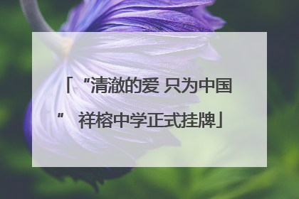 “清澈的爱 只为中国” 祥榕中学正式挂牌
