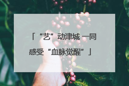 “艺”动津城 一同感受“血脉觉醒”