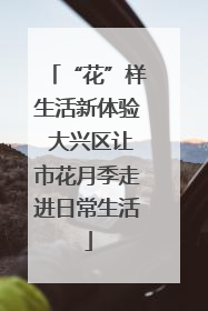“花”样生活新体验 大兴区让市花月季走进日常生活