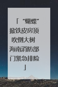 “蝴蝶”掀铁皮房顶吹倒大树 海南消防部门紧急排险