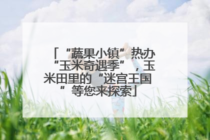 “蔬果小镇”热办“玉米奇遇季”，玉米田里的“迷宫王国”等您来探索
