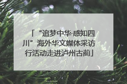 “追梦中华·感知四川”海外华文媒体采访行活动走进泸州古蔺