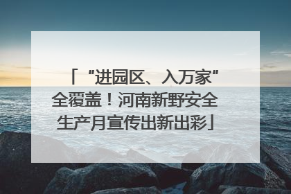 “进园区、入万家”全覆盖！河南新野安全生产月宣传出新出彩