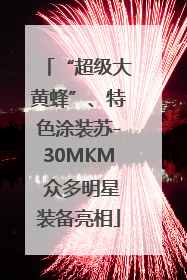 “超级大黄蜂”、特色涂装苏-30MKM 众多明星装备亮相