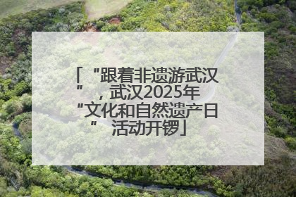 “跟着非遗游武汉”，武汉2025年“文化和自然遗产日” 活动开锣